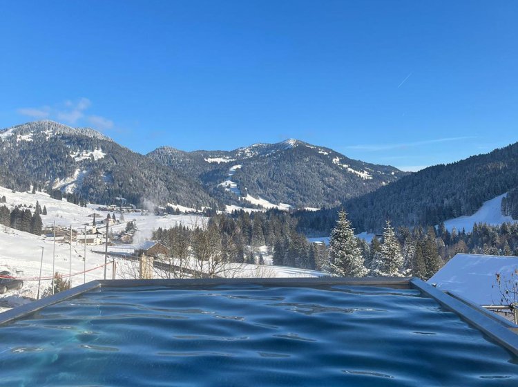 Außen Infinity-Pool mit Blick auf die Allgäuer Alpen
