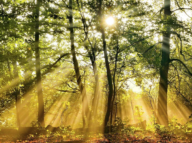 Sommer-Auszeit Sommer-Auszeit