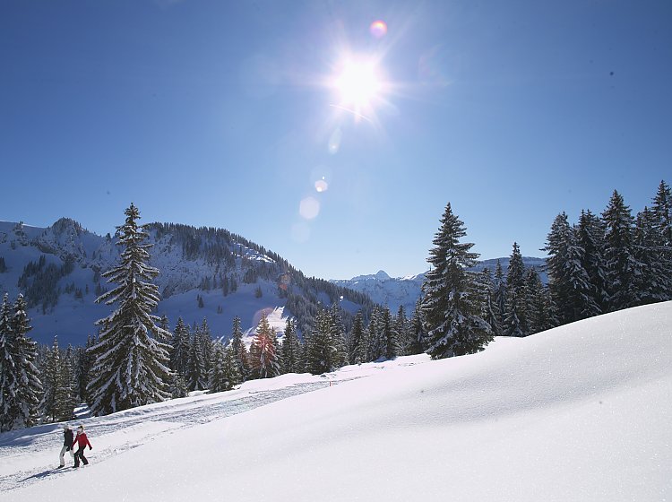 Schneekristall Schneekristall