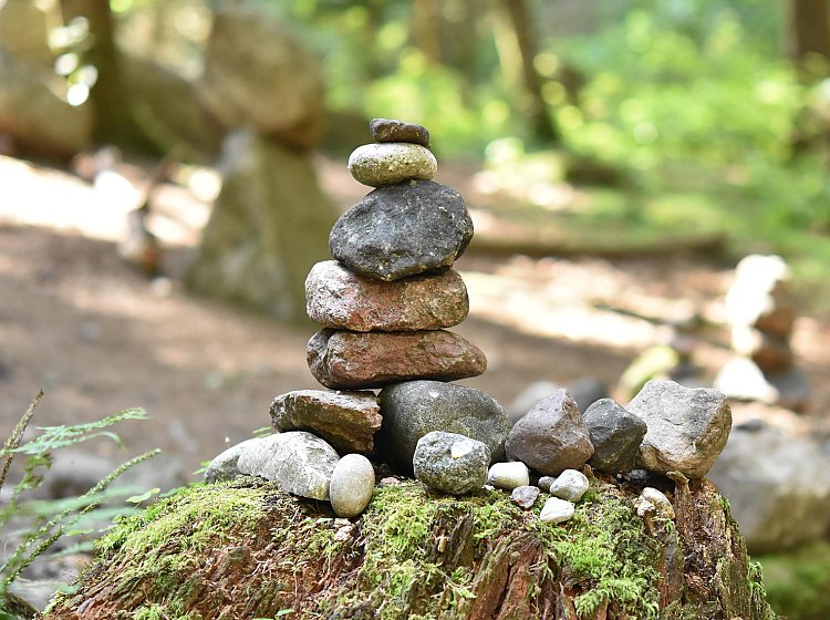 Yoga-Retreat im Sommer