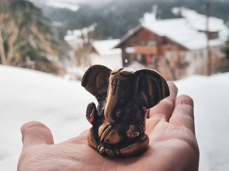 Yoga und Winterwandern Yoga und Winterwandern